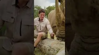 Thumbnail: Join Chandler and DJ for some rhino lip-smacking ASMR 🦏