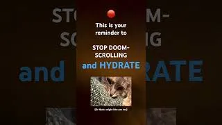 Thumbnail: Stop the scroll and drink some damn water
