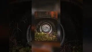 Thumbnail: Abandoned, a car with a soul. (Opel Rekord 1963)