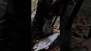 Thumbnail: Rainbow Trout Catch and Cook #girlswhofish