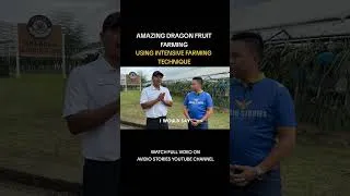 Thumbnail: AMAZING DRAGON FRUIT FARMING ✨😍🐲🏆