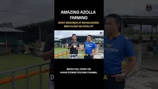 Thumbnail: BAKIT MAGANDA AT MAHALAGANG MAG-ALAGA NG AZOLLA? 👌😍🌿