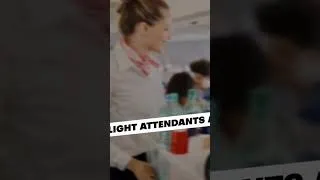 Thumbnail: Plane Cleanliness & Flight Attendant Roles!