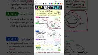 Thumbnail: Hydrolysis of sucrose #ugtrb #chemistry #2024