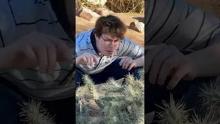Thumbnail: I was @CG5’s tour guide. (AND I’M EXCELLENT)