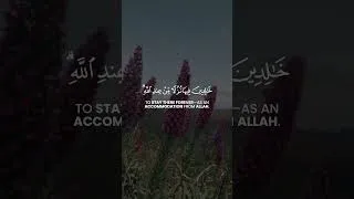 Thumbnail: Eternal Bliss in Allah's Gardens | Ali 'Imran V. 198 ‎|‎ @jusufkh ‎|‎ يوسف خلف