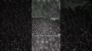 Thumbnail: 🎬 World Cup Rematch: England 2-0 France | 1966 Triumph, Part 2