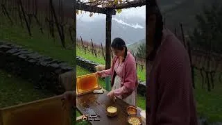 Thumbnail: Honey Pistachio Baklava | ‪Rural Cuisine‬  #cooking #rurallife