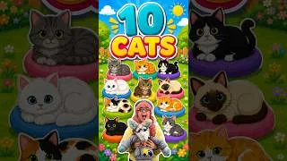 Thumbnail: Can You Count 10 Cats? 🐱 Count to 10 for Kids #shorts