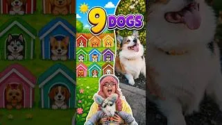 Thumbnail: Let’s Count 9 Dogs! 🐶 Learn Numbers for Toddlers #shorts