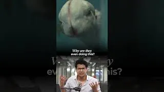 Thumbnail: Japan Is Creating Half Animal Half Human Creatures Using AI