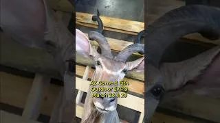 Thumbnail: Wildlife Assets Sale Preview