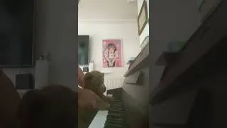Thumbnail: Mr Bear playing piano