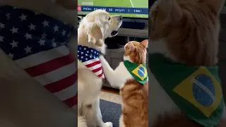 Thumbnail: Do Your Pets Watch the FIFA World Cup?😂⚽️🐶🐱  #dogs #cats #viralvideo #foryou #fifaworldcup2026