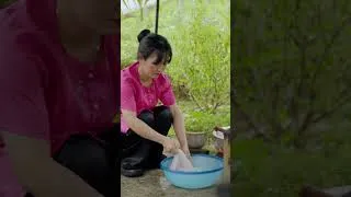 Thumbnail: Country life, gardening and Cooking pork rice paper rolls