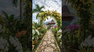 Thumbnail: Sometimes, all we need is a slow walk and a moment to look around. 🌸