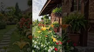 Thumbnail: Obsessed with the serenity of these flowers. ✨