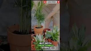 Thumbnail: The Easiest Way to Start a Backyard Garden