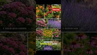 Thumbnail: 10 Perennials That Come Back Every Year 🌸