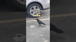 Thumbnail: This happened in Sam’s Club parking lot #wildlife #puremichigan