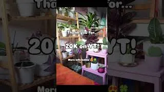 Thumbnail: Today the Balconia Garden YouTube channel hit 20K subscribers 🤯😍🍀 THANK YOU!