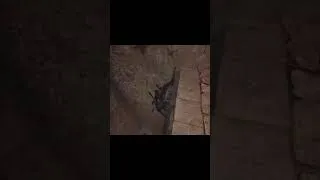 Thumbnail: The true Lord of the Fallen