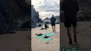 Thumbnail: South Wales Coast | Cardigan Bay #dolphin #sea #beach #hiking #outdoors #explore #subscribe #travel