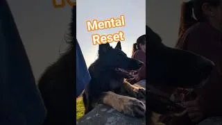 Thumbnail: Golden Hour | Beautiful Countryside | Family | Golden Beer #peace #family #beauty #dog # #goldenhour