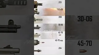 Thumbnail: Favorite Slow Mo Rifle Caliber? #slowmotion