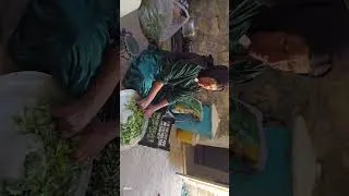 Thumbnail: Nomadic life: from harvesting organic produce to cooking traditional food