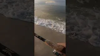 Thumbnail: Big one close in! #fishing #beachfishing