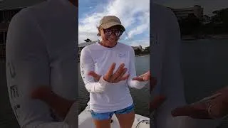 Thumbnail: OIe Butterfingers. #fishing #beach #saltwater