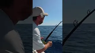 Thumbnail: I Made One Drop in *800ft DEEP* and Caught THIS! #shorts  #fishing #fish #seafood