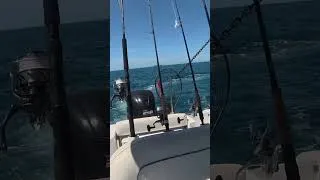 Thumbnail: Fishing next to this huge Freighter Ship when THIS Happened! **Very Risky** #shorts #fishing