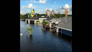 Thumbnail: Earth Flood & Oiia Cat Rescues Banana Cat Baby 🐱🍌