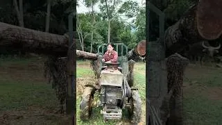 Thumbnail: Agricultural vehicles transporting timber in rural areas.