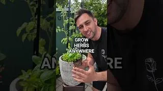 Thumbnail: Grow These Herbs at Home 🌿 (Even in Small Spaces!)