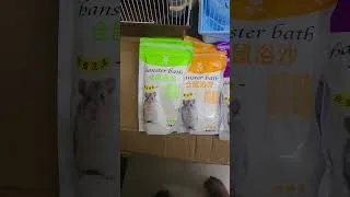 Thumbnail: Hamster Bathing Sand – Keep Your Hamster Clean & Happy! 🐹✨