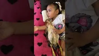 Thumbnail: Chicken Run on vacation