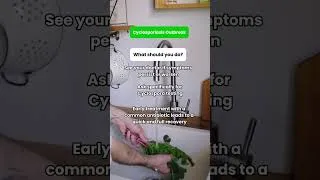 Thumbnail: Cyclospora Outbreak: How To Avoid, Symptoms and Testing