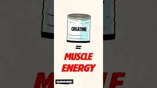 Thumbnail: Why Creatine Timing Might Surprise You!