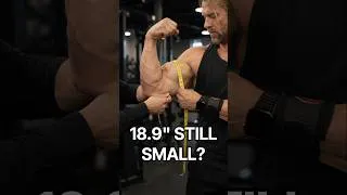 Thumbnail: What Your Arm Size Actually Looks Like