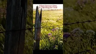 Thumbnail: Best Country Music Of All Time   Alan Jackson The Older I Get   Country Emotional Tune