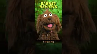 Thumbnail: Barkey Reviews CATS 2019 #SHORTS