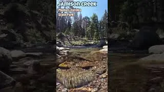 Thumbnail: Jamison Creek Plumas-Eureka State Park #california #scenic #SHORTS