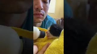 Thumbnail: Brian feeding Chip