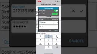 Thumbnail: [B4X] Preferences Dialog