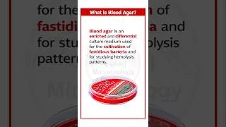 Thumbnail: Blood Agar| #microbiology #medicalmicrobiology #shorts @basicappliedmicrobiology
