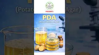 Thumbnail: PDA|Potato Dextrose Agar|#microbiology #mycology #fungi #shorts @basicappliedmicrobiology
