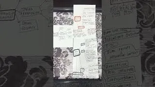 Thumbnail: Full SpringBoot RoadMap